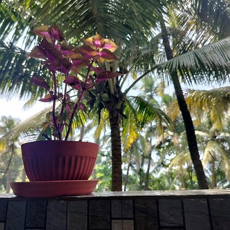 Kumbaya Beachside Hostel & Apartments At Arambol Beach Luaran gambar