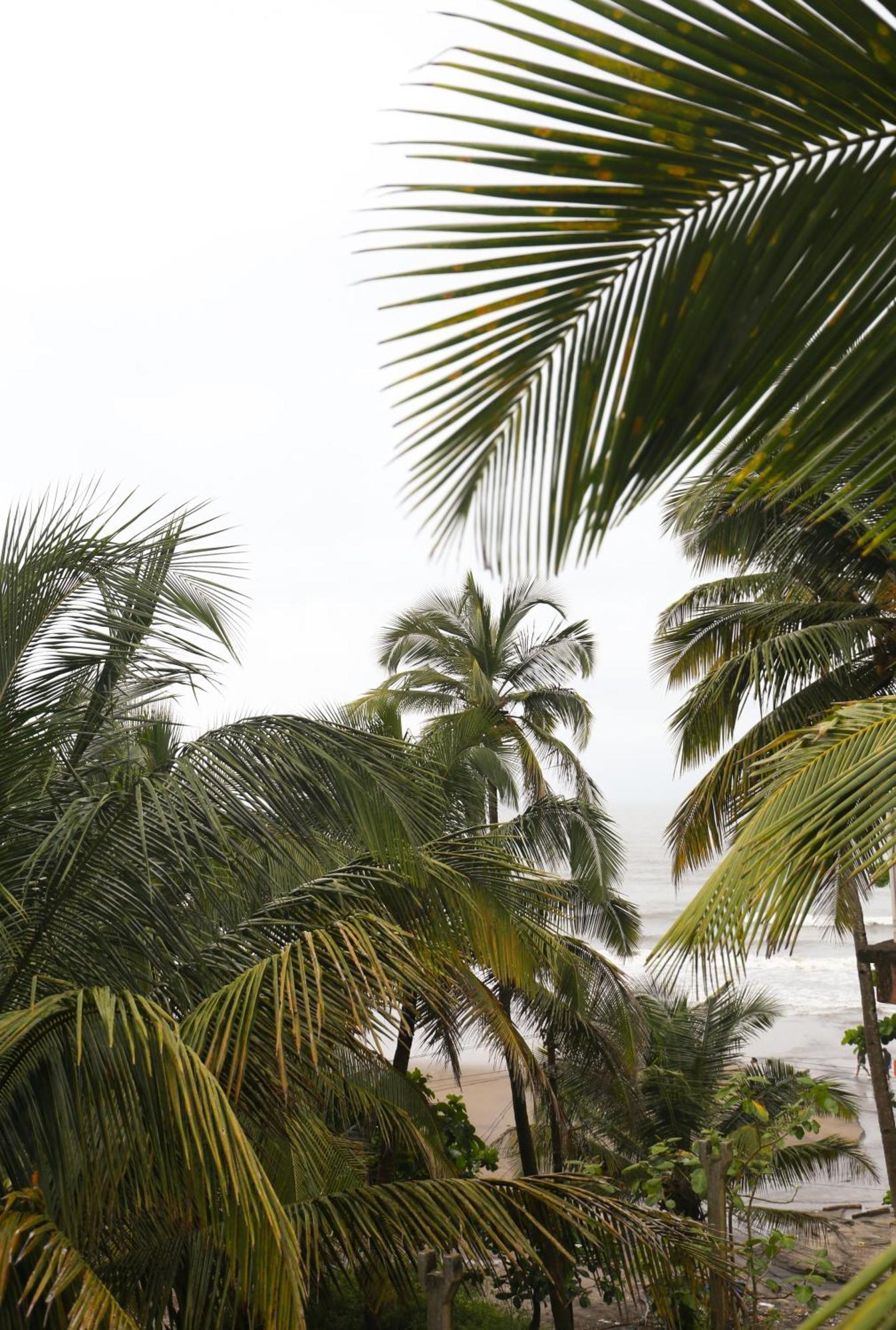 Kumbaya Beachside Hostel & Apartments At Arambol Beach Luaran gambar